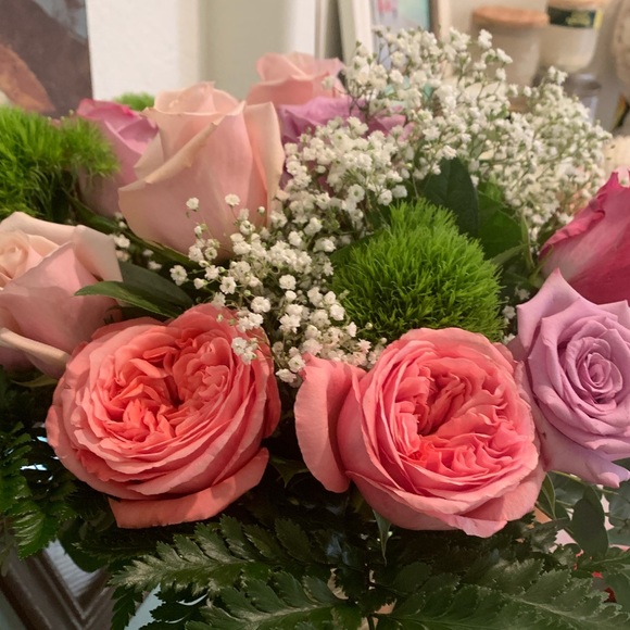 Meet your Posher, Debbie - Picture 1 of 1